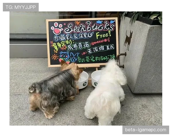 拉皮诺家的狗都比某些人挣得多